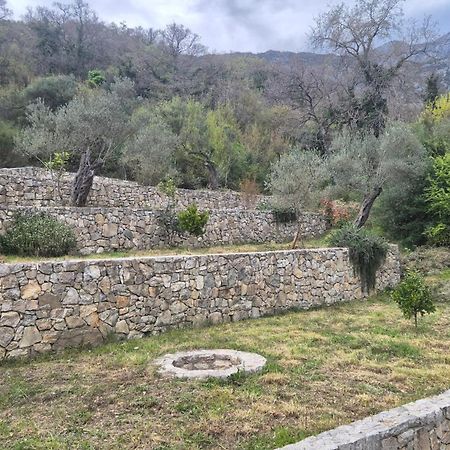 Villa Belle Air Herceg Novi Bagian luar foto
